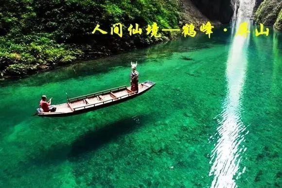 飞天小猪仔